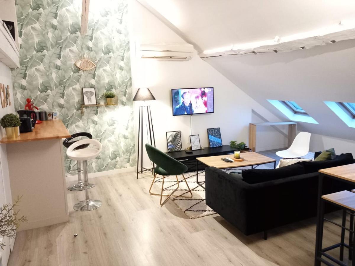 Magnifique Appartement En Hyper-Centre ! Poitiers Bagian luar foto